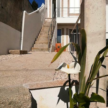 شقة Casa Ventuzelo بورتو المظهر الخارجي الصورة